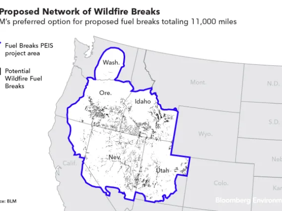 california fires