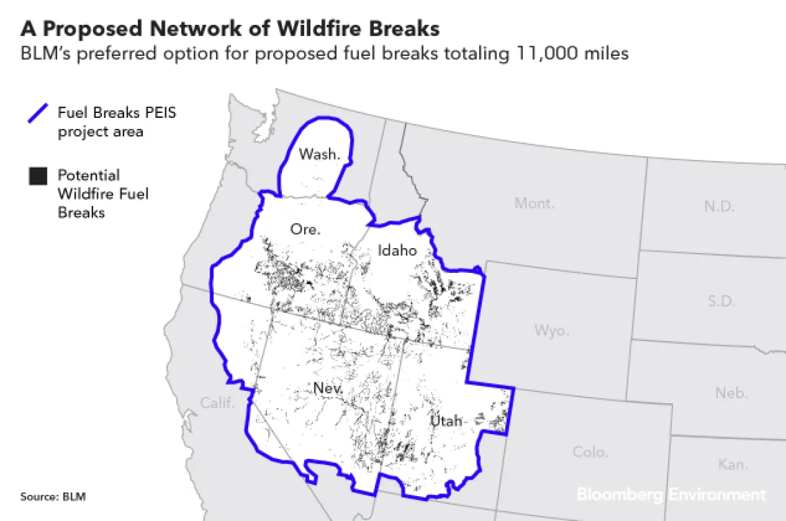 california fires